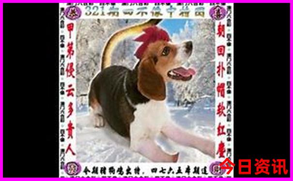 雨天适合去哪里旅游呢